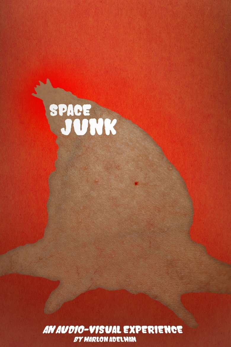 Poster of Space Junk