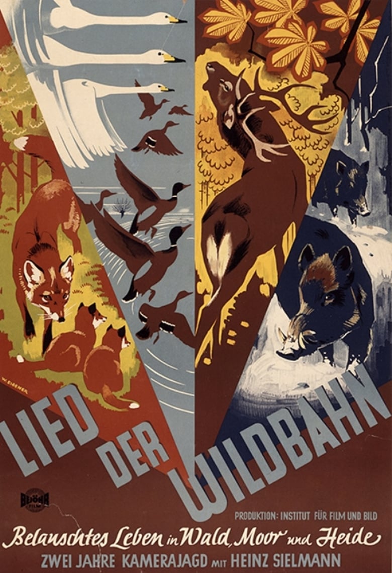 Poster of Lied der Wildbahn