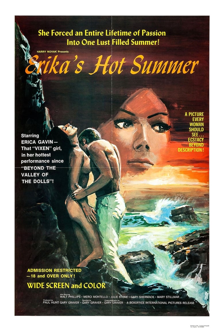 Poster of Erika's Hot Summer