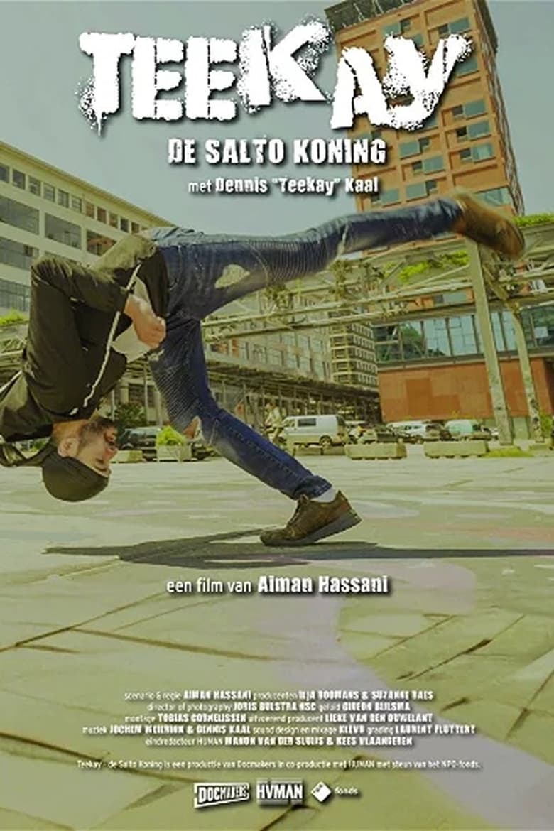 Poster of Teekay The Salto King