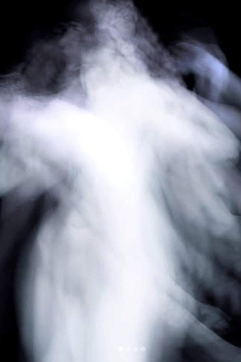 Poster of The Flesh