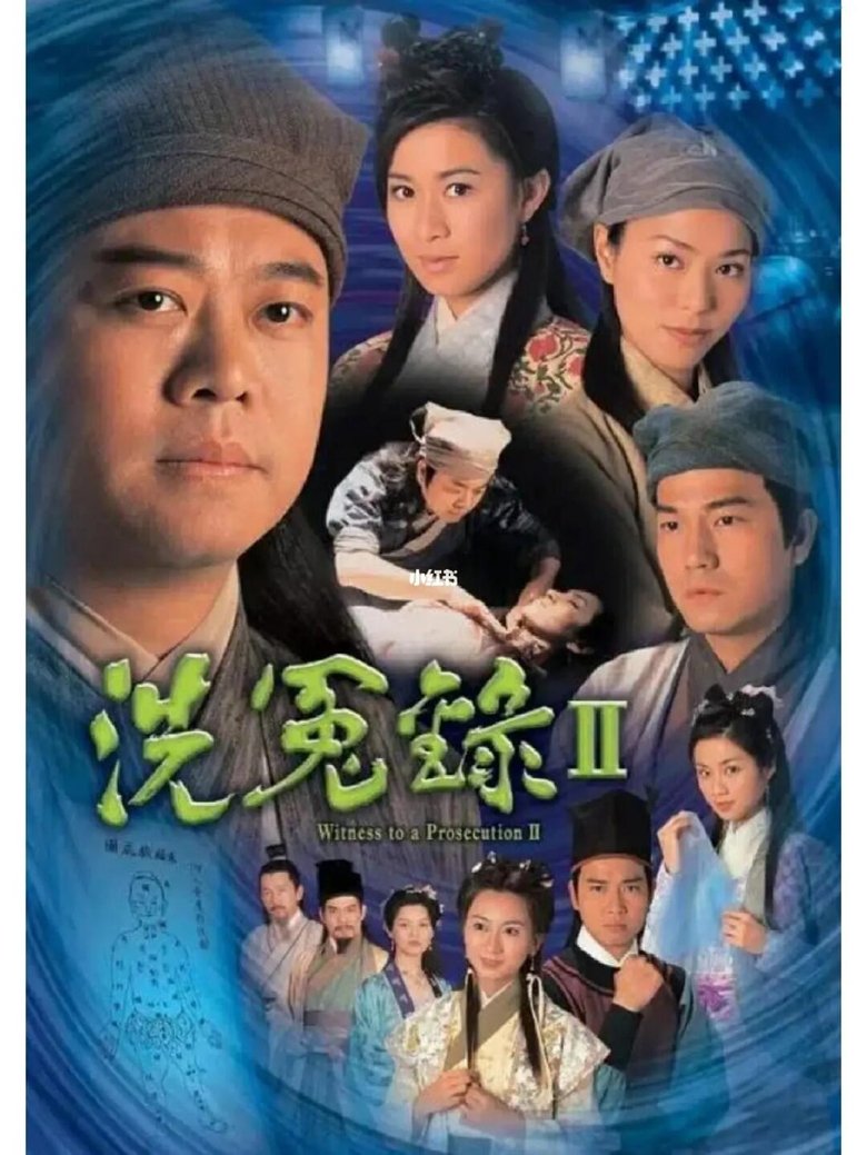 Poster of 洗冤录2