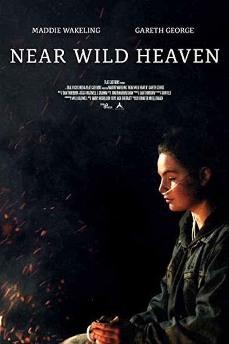 Poster of Near Wild Heaven