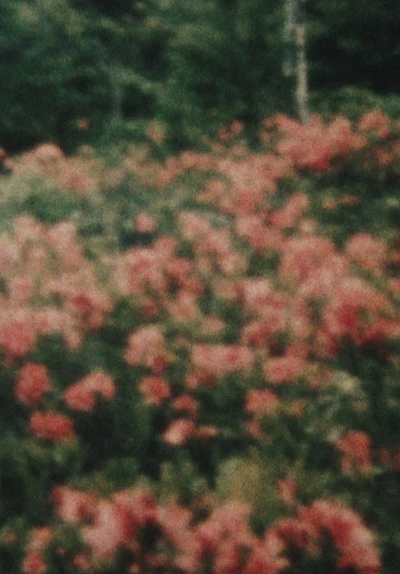 Poster of From the Window