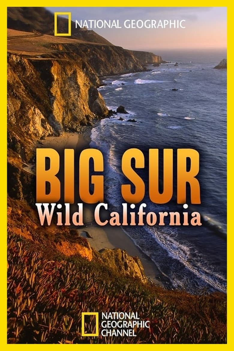 Poster of Big Sur: Wild California