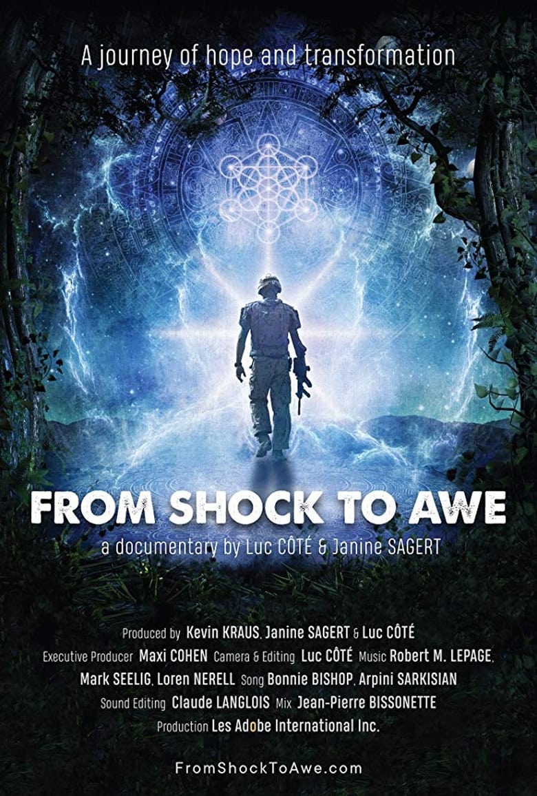 Poster of From Shock to Awe