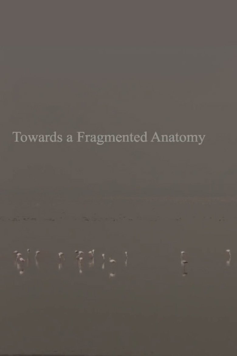 Poster of Towards a Fragmented Anatomy