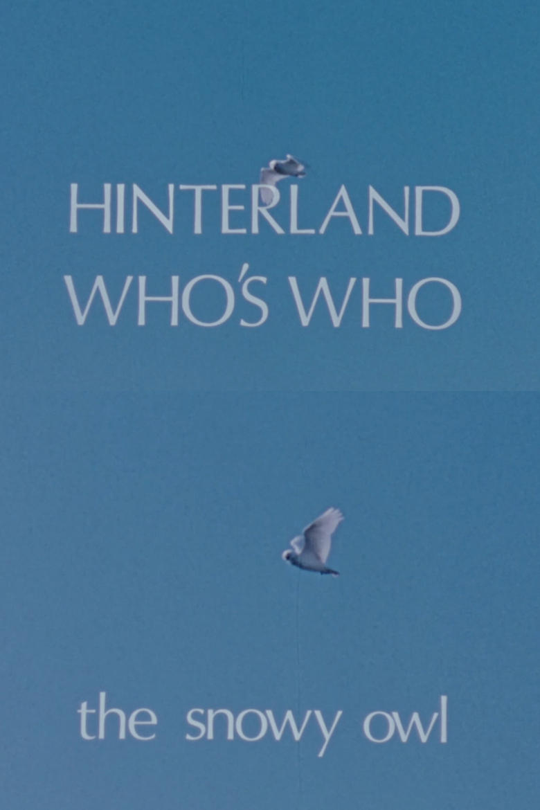 Poster of Hinterland Who's Who: The Snowy Owl