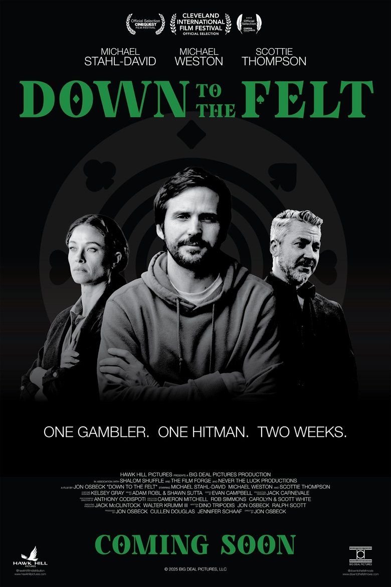 Poster of Down To The Felt