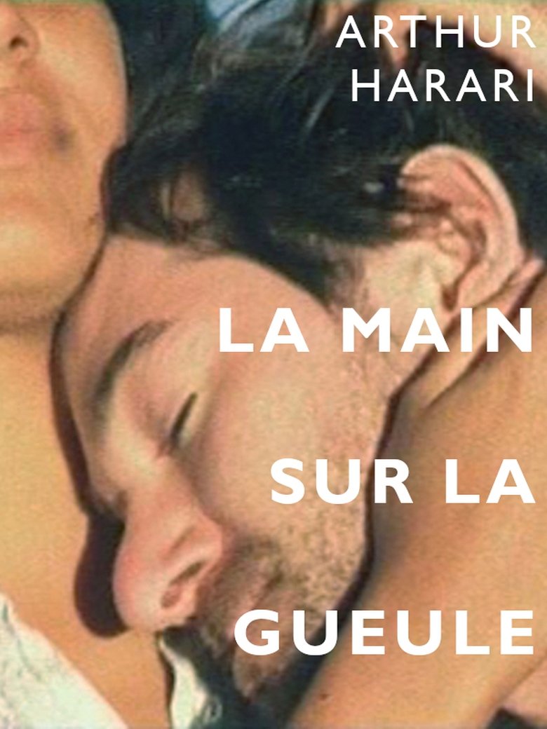 Poster of La main sur la gueule