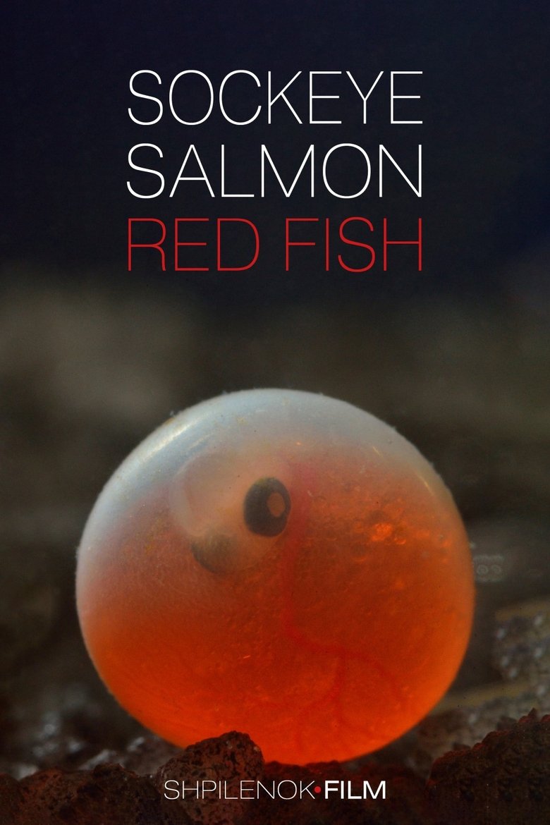 Poster of Sockeye Salmon. Red Fish
