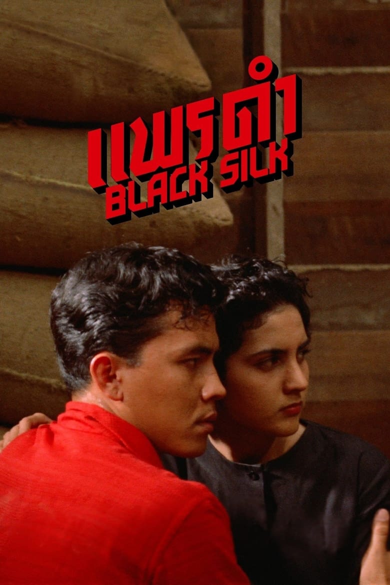 Poster of Black Silk