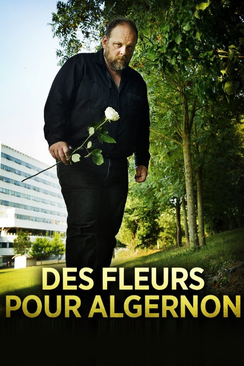 Poster of Flowers for Algernon