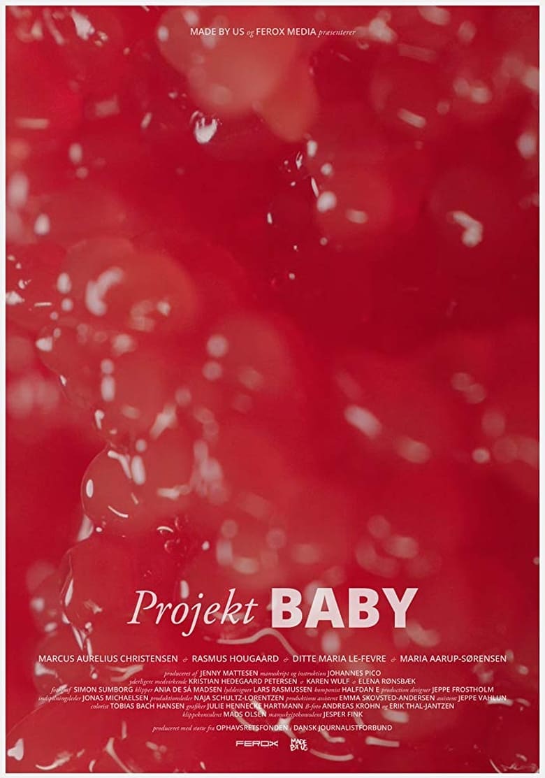 Poster of Project Baby