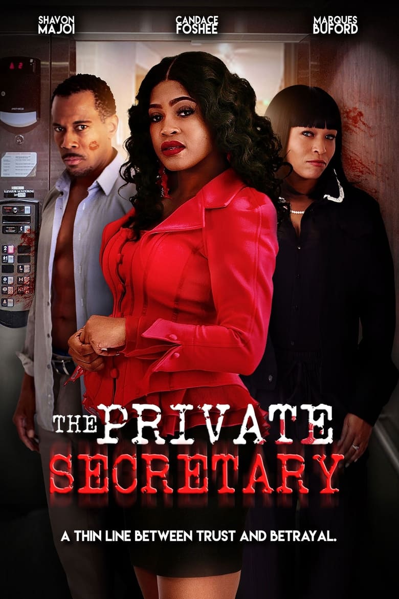 Poster of The Private Secretary