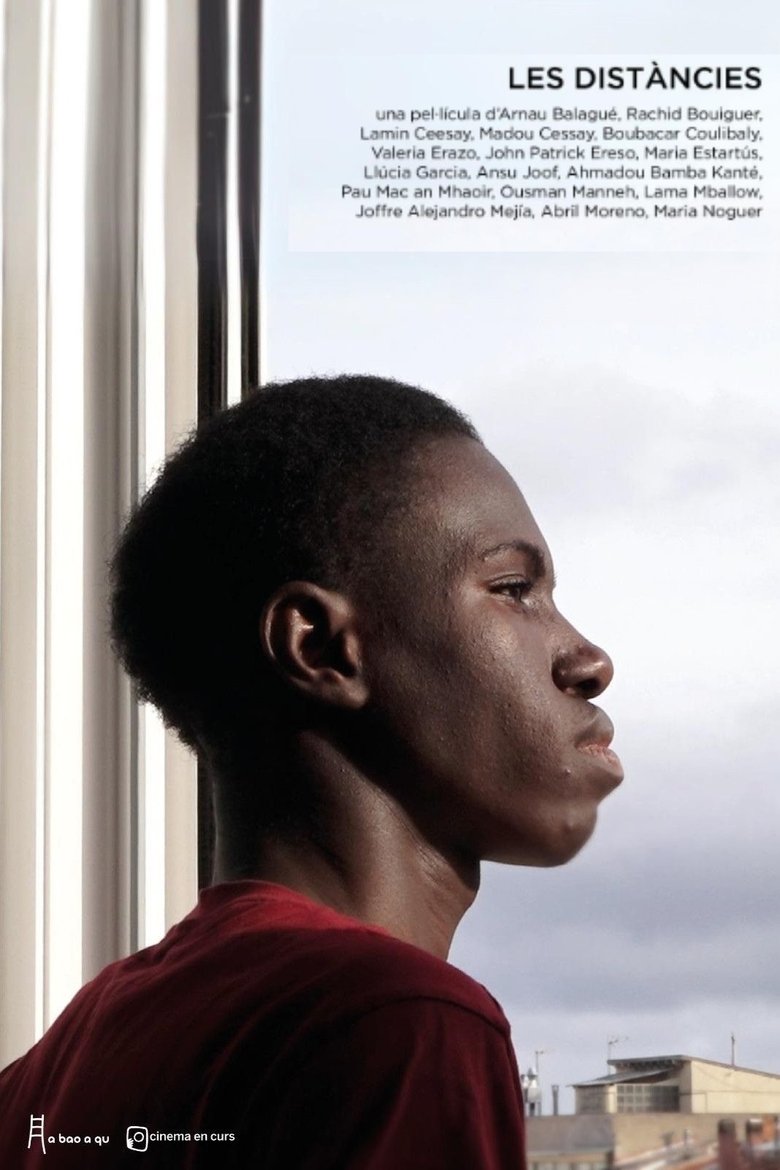 Poster of The distances