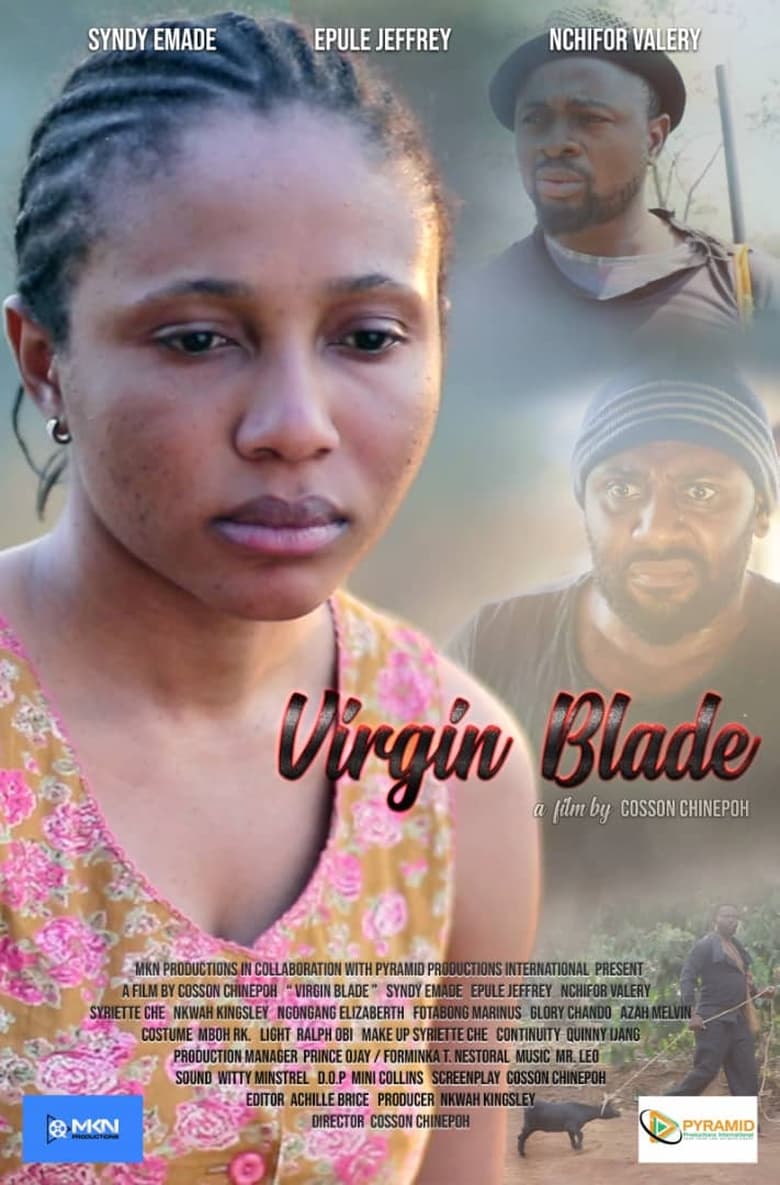 Poster of Virgin Blade