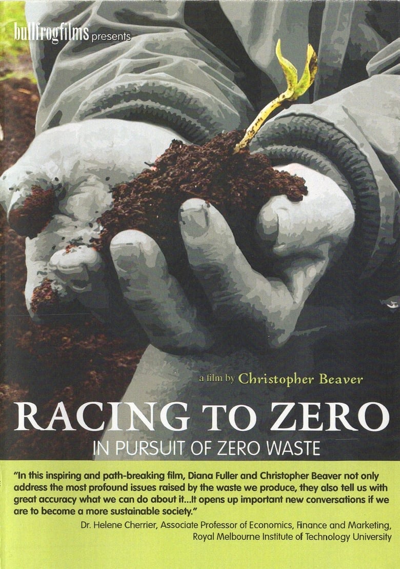 Poster of Racing To Zero