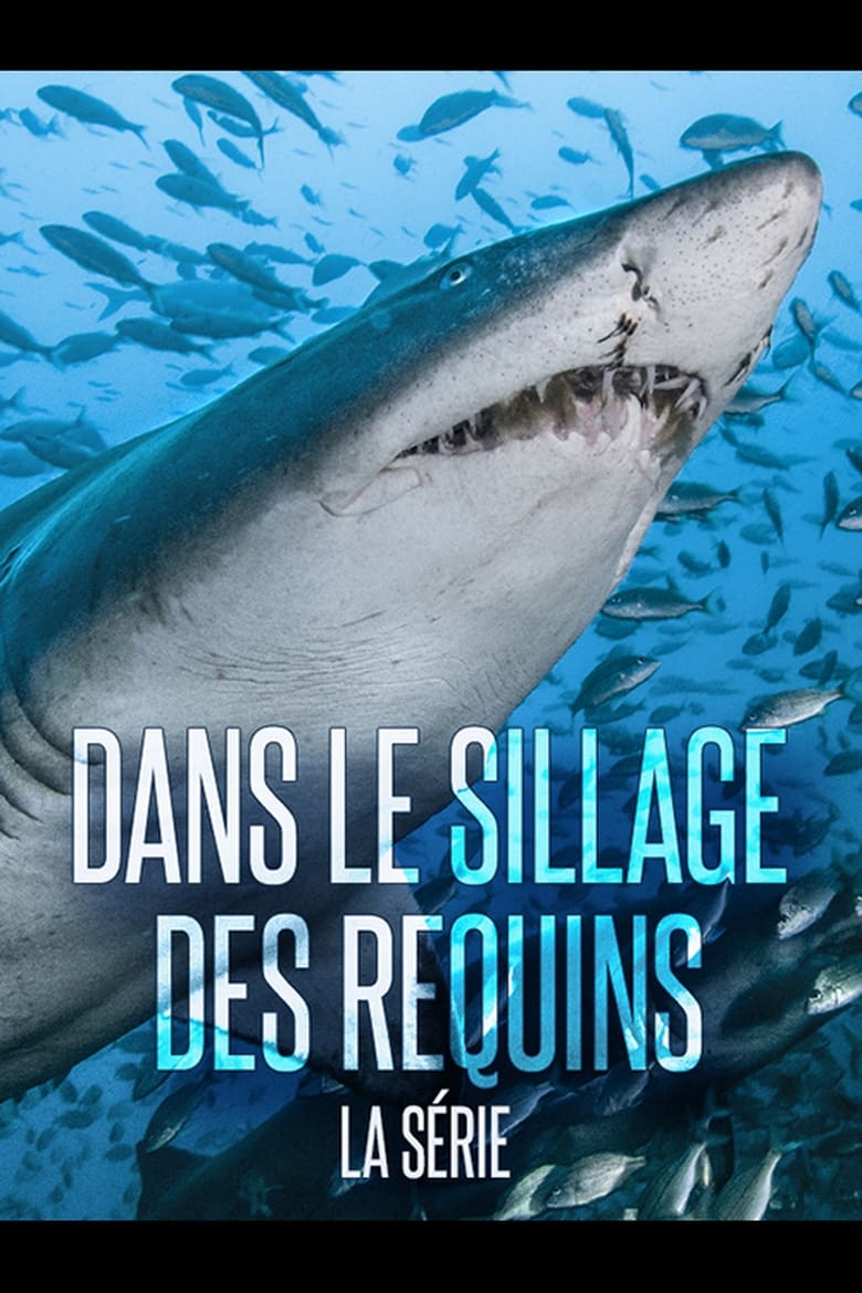 Poster of Dans Le Sillage Des Requins - La Vie Secrète