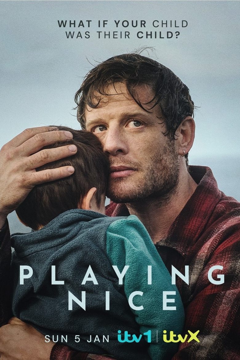 Poster of Playing Nice