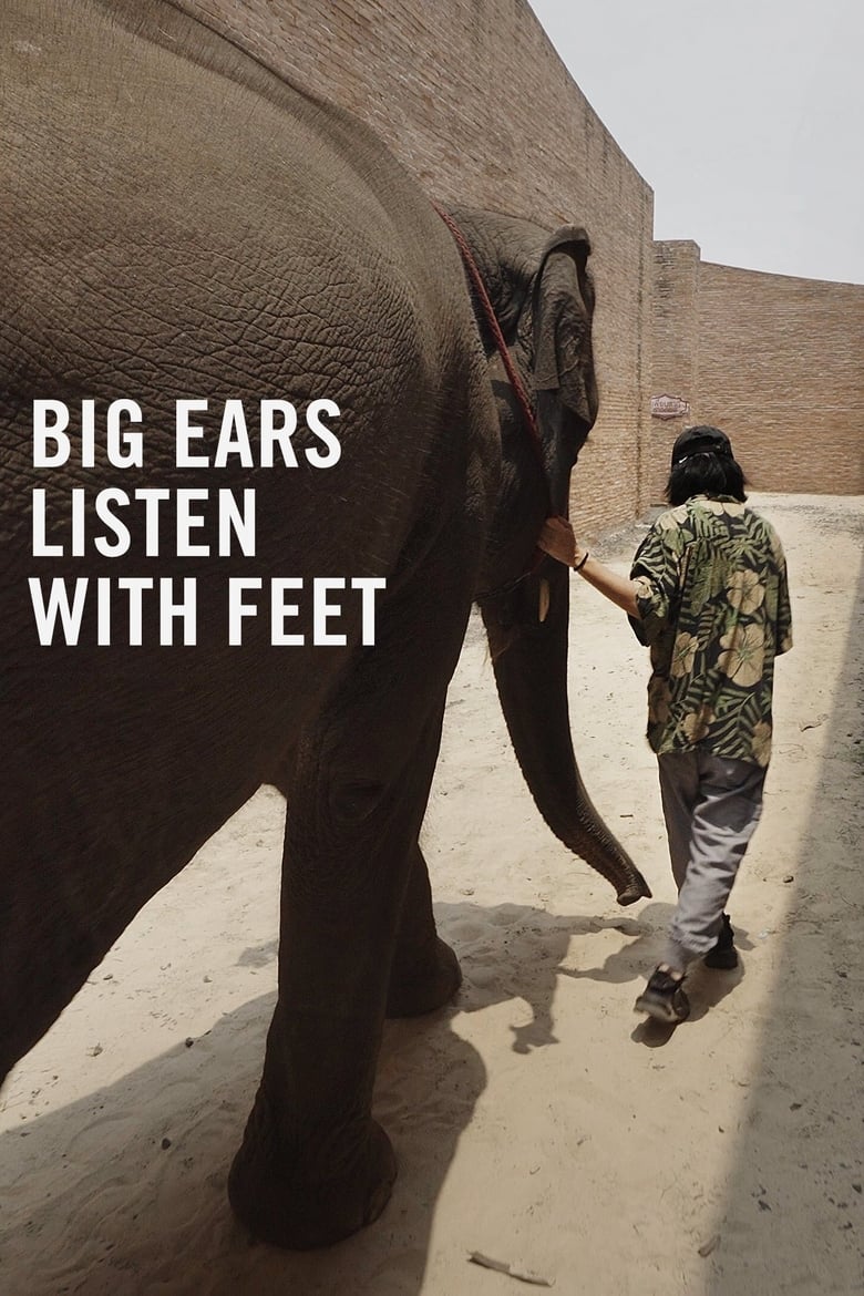 Poster of Big Ears Listen with Feet