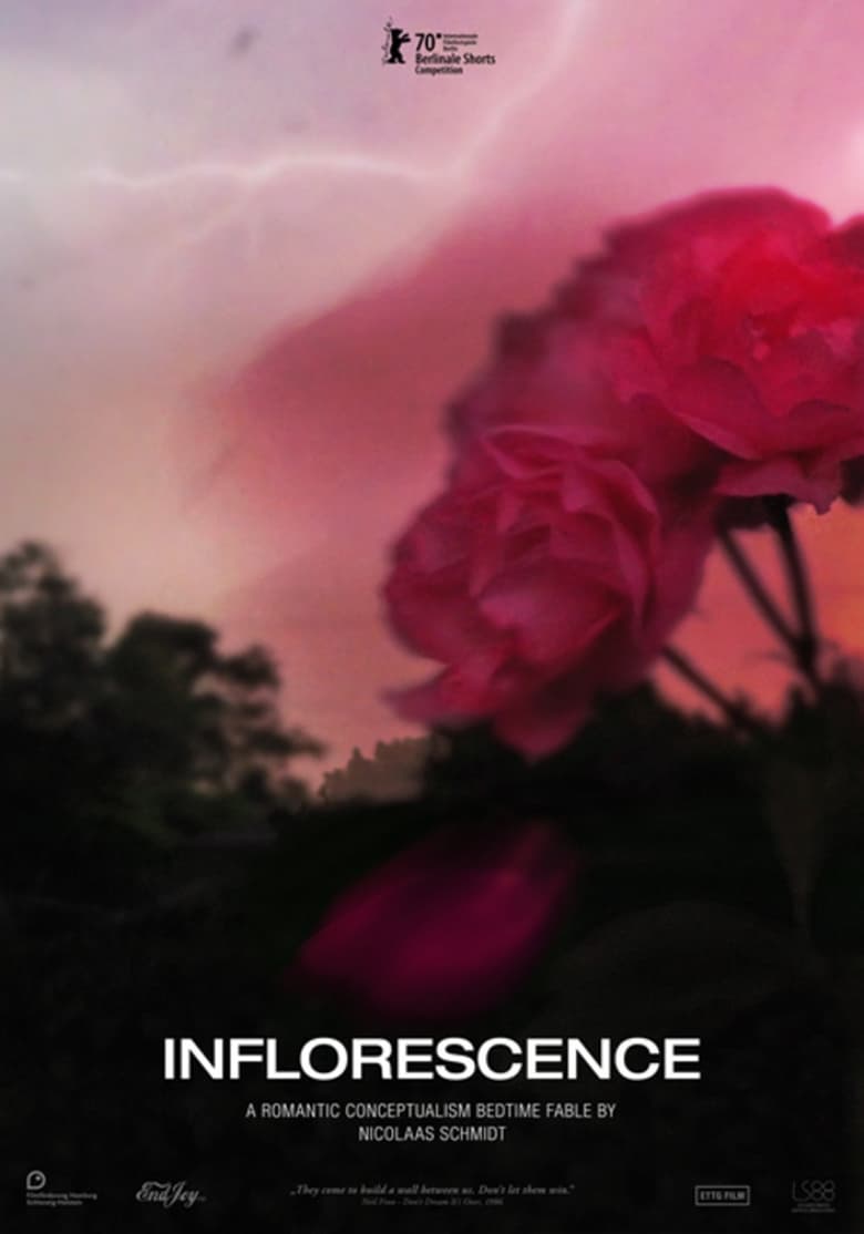 Poster of Inflorescence