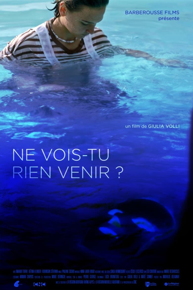 Poster of Ne vois-tu rien venir ?