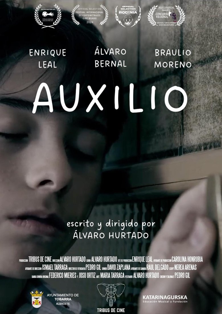 Poster of Auxilio
