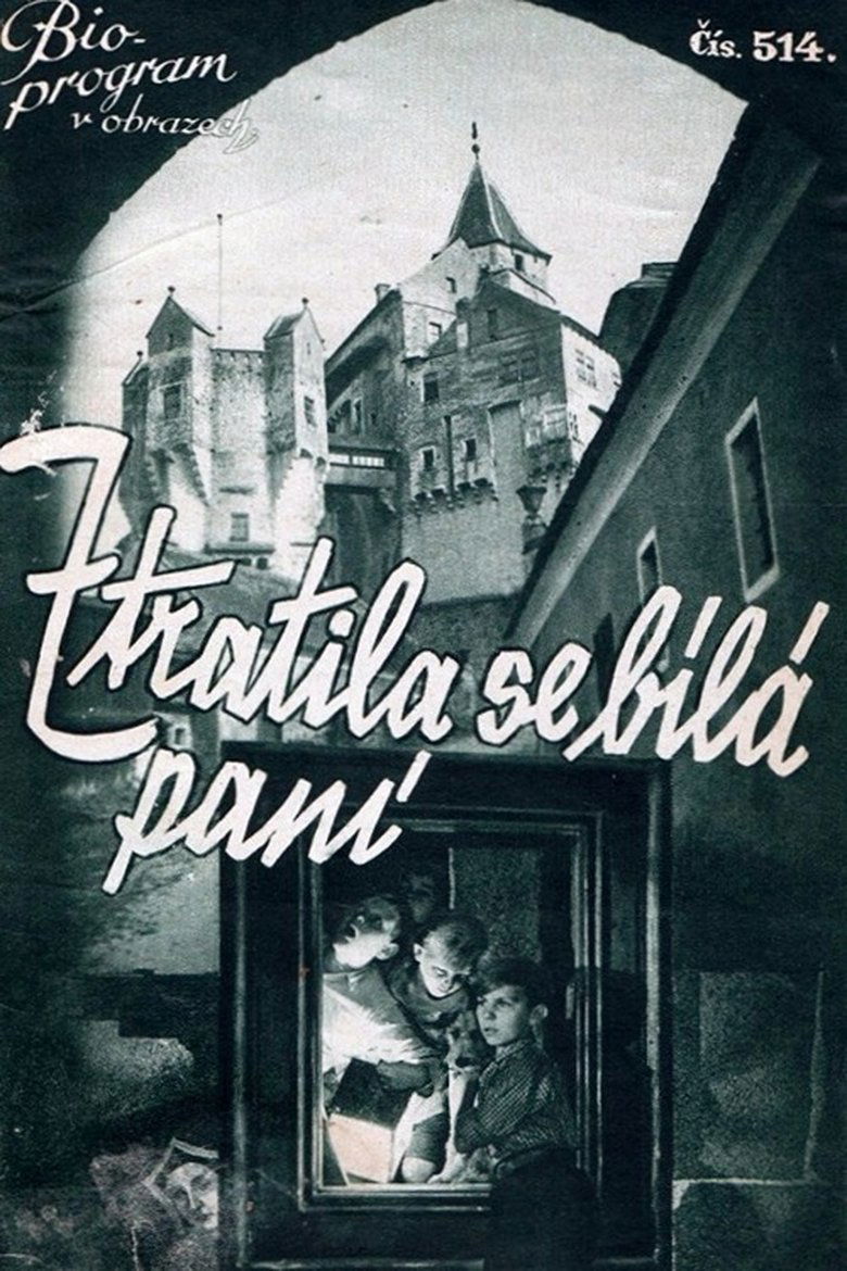 Poster of Ztratila se Bílá paní
