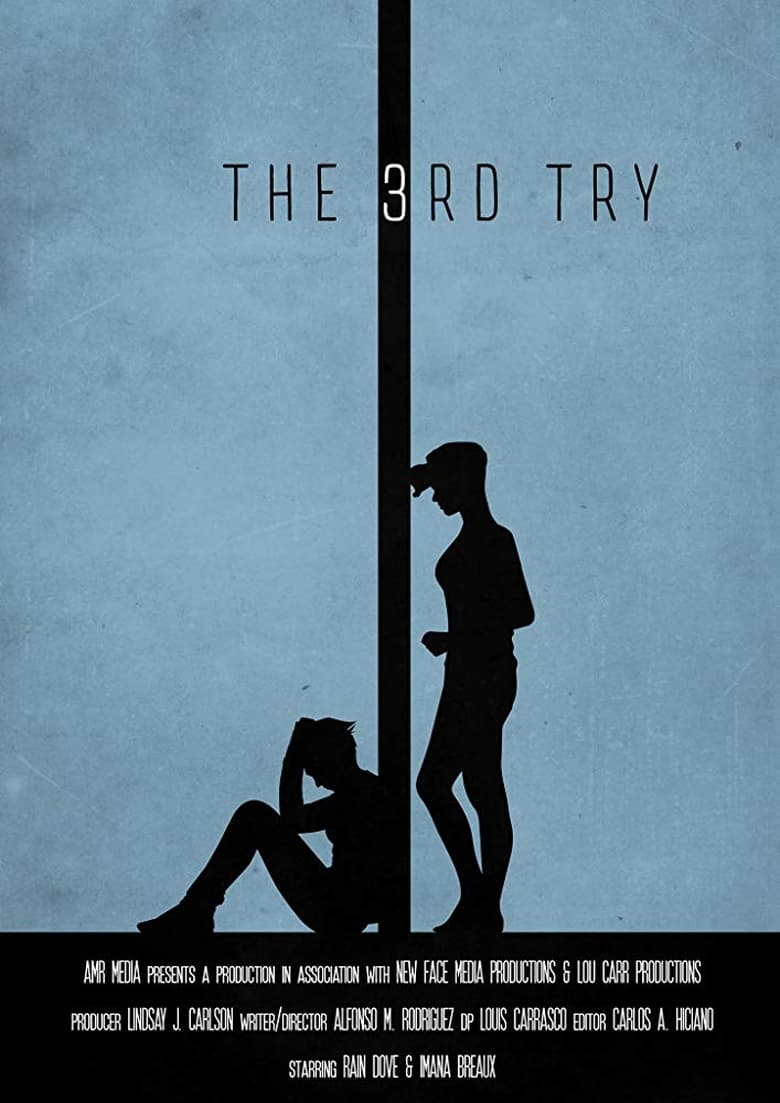 Poster of The 3rd Try