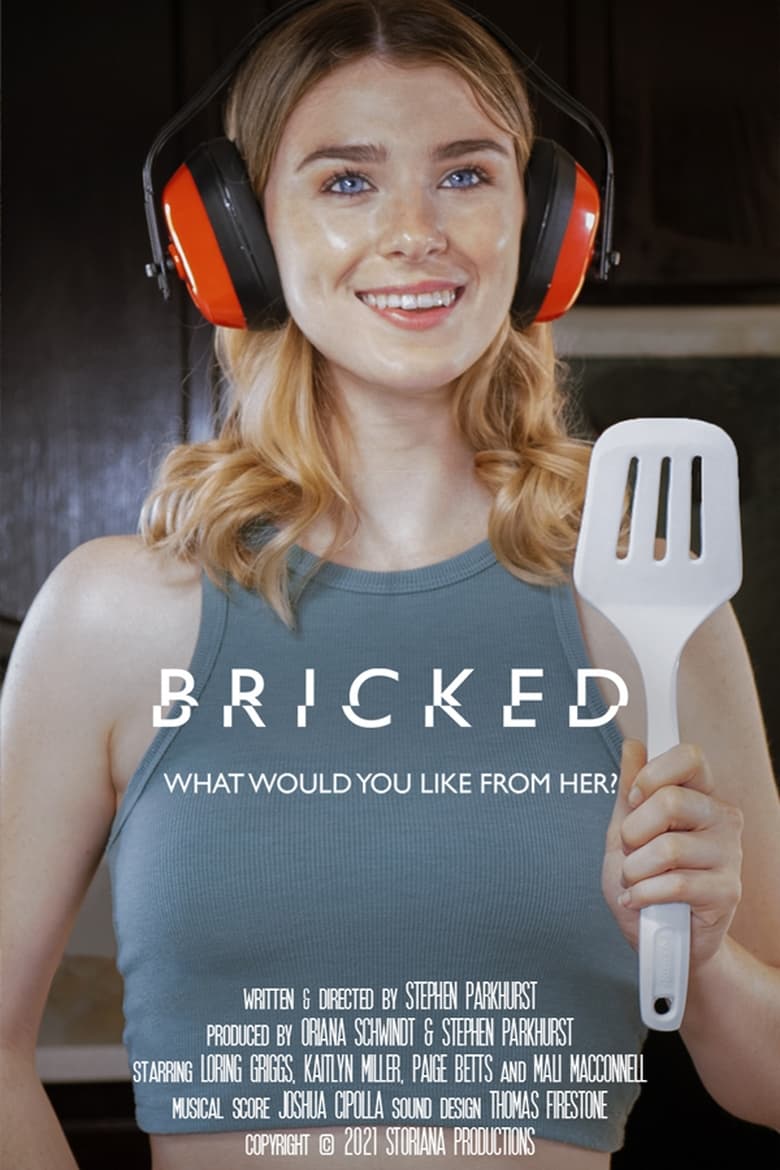 Poster of Bricked