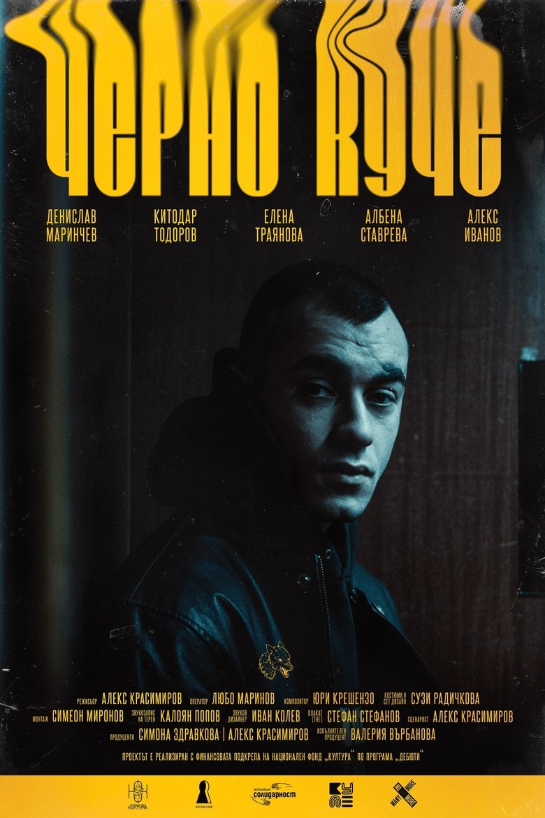 Poster of Black Dog