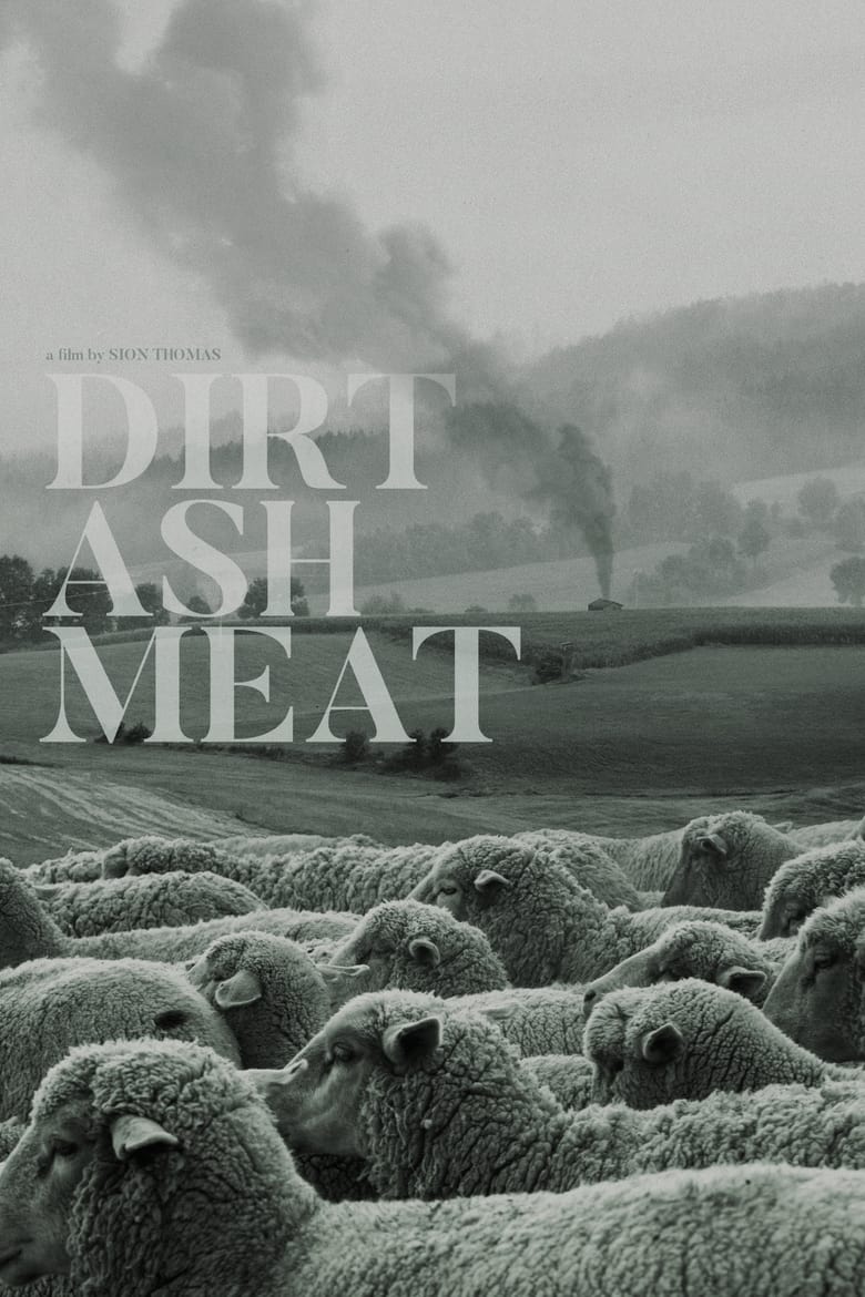 Poster of Dirt Ash Meat