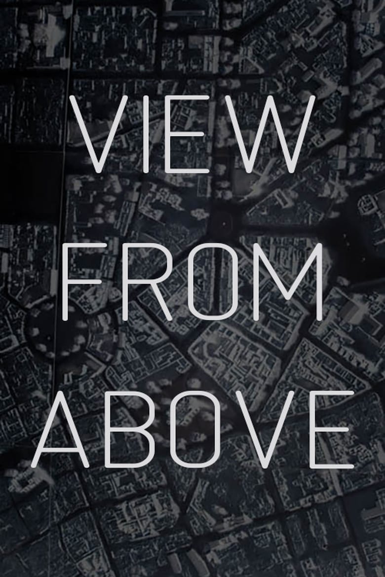 Poster of View From Above