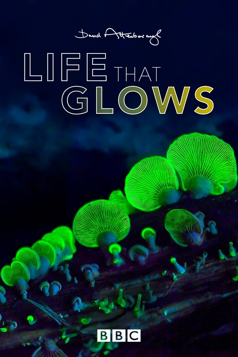 Poster of Attenborough's Life That Glows