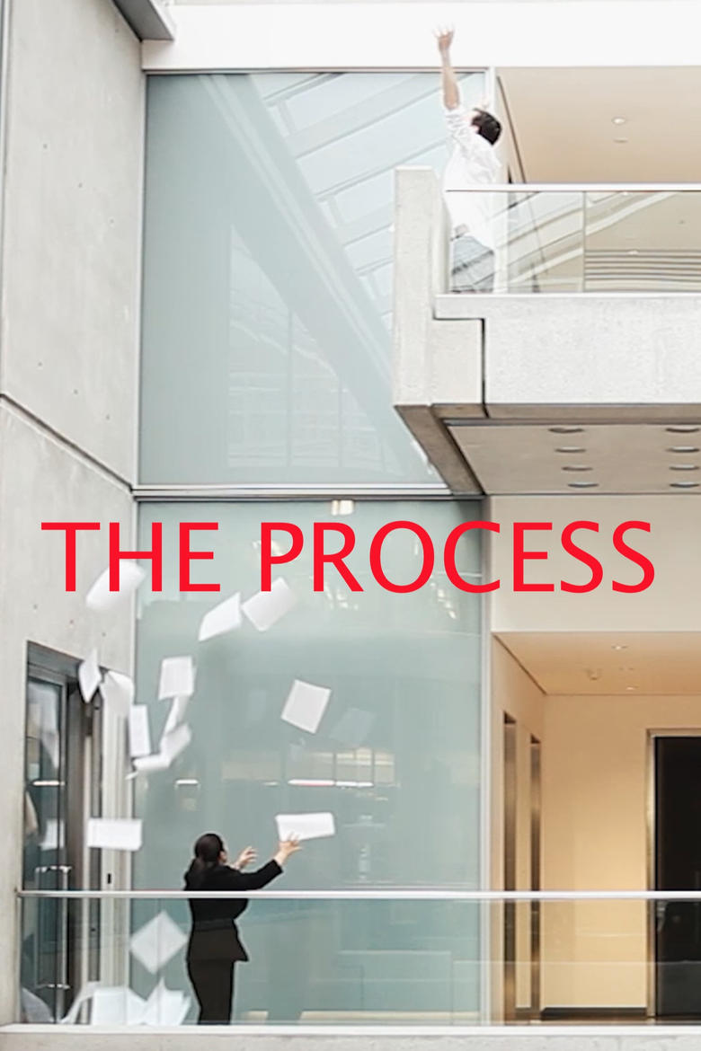 Poster of The Process