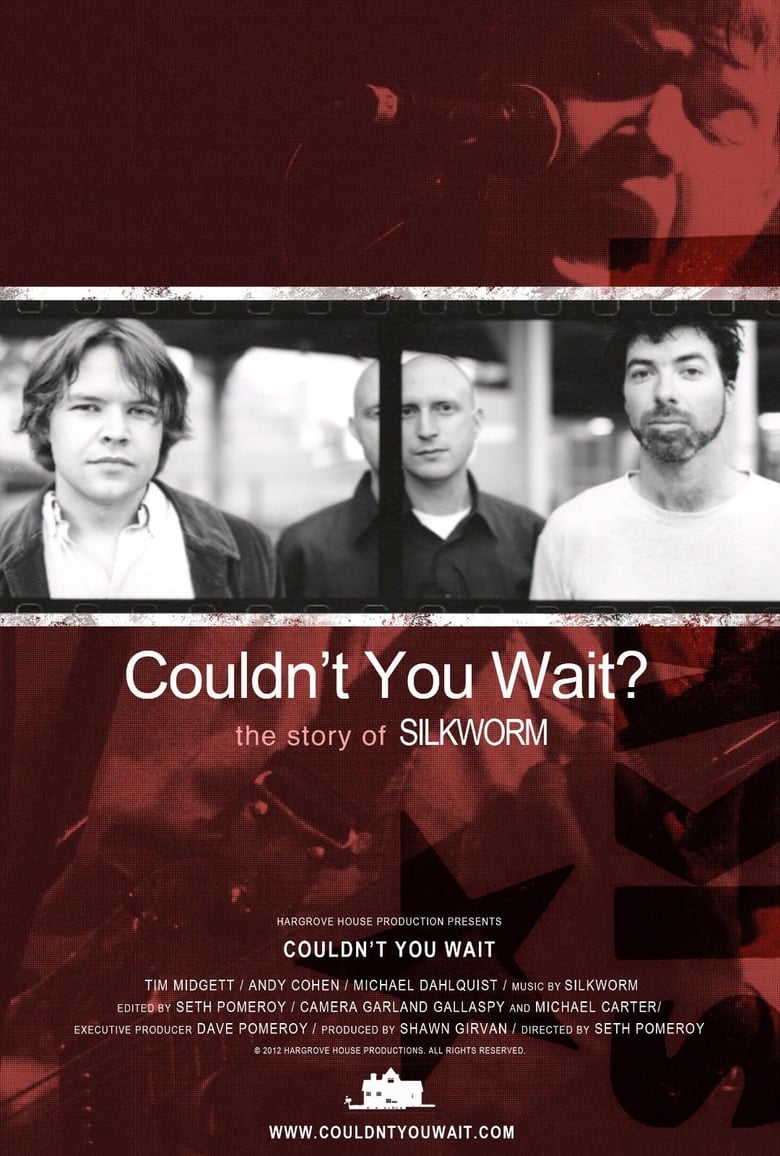 Poster of Couldn't You Wait?