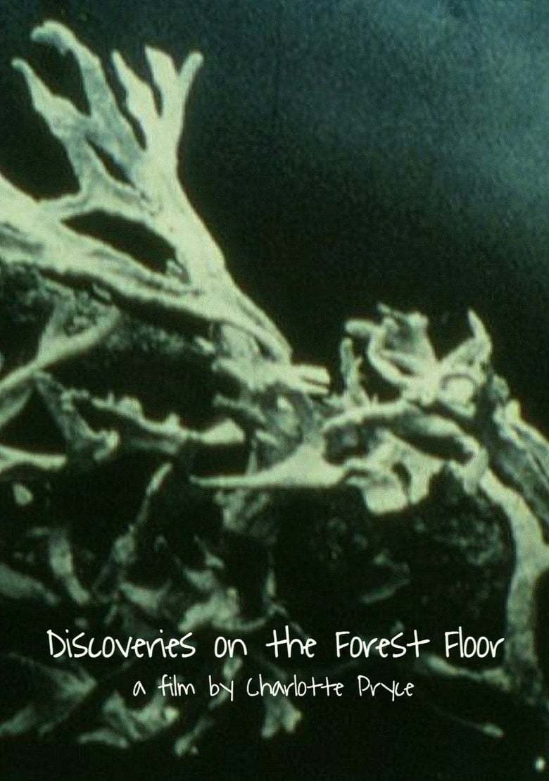 Poster of Discoveries on the Forest Floor 1-3