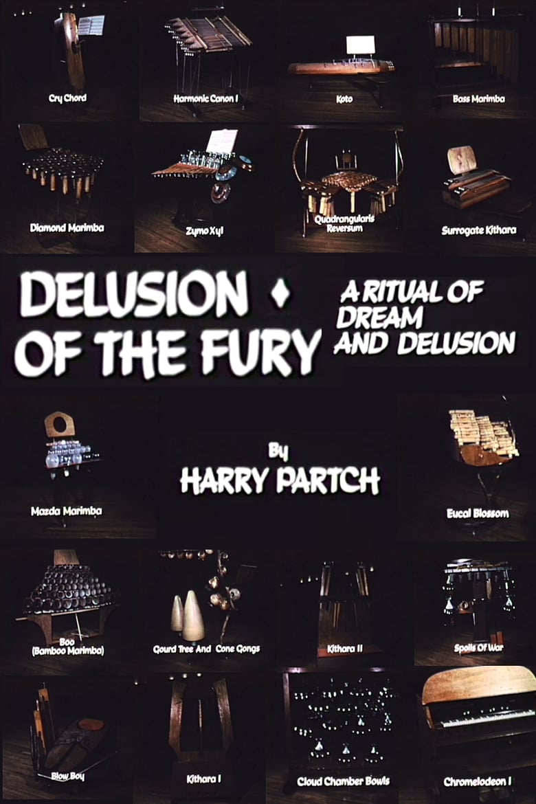 Poster of Delusion of the Fury: A Ritual of Dream and Delusion