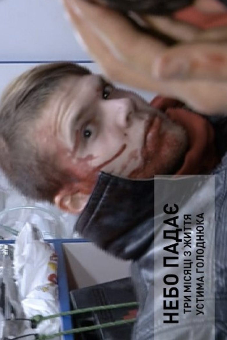 Poster of The Sky is Falling: Three Months in the Life of Ustym Holodnyuk