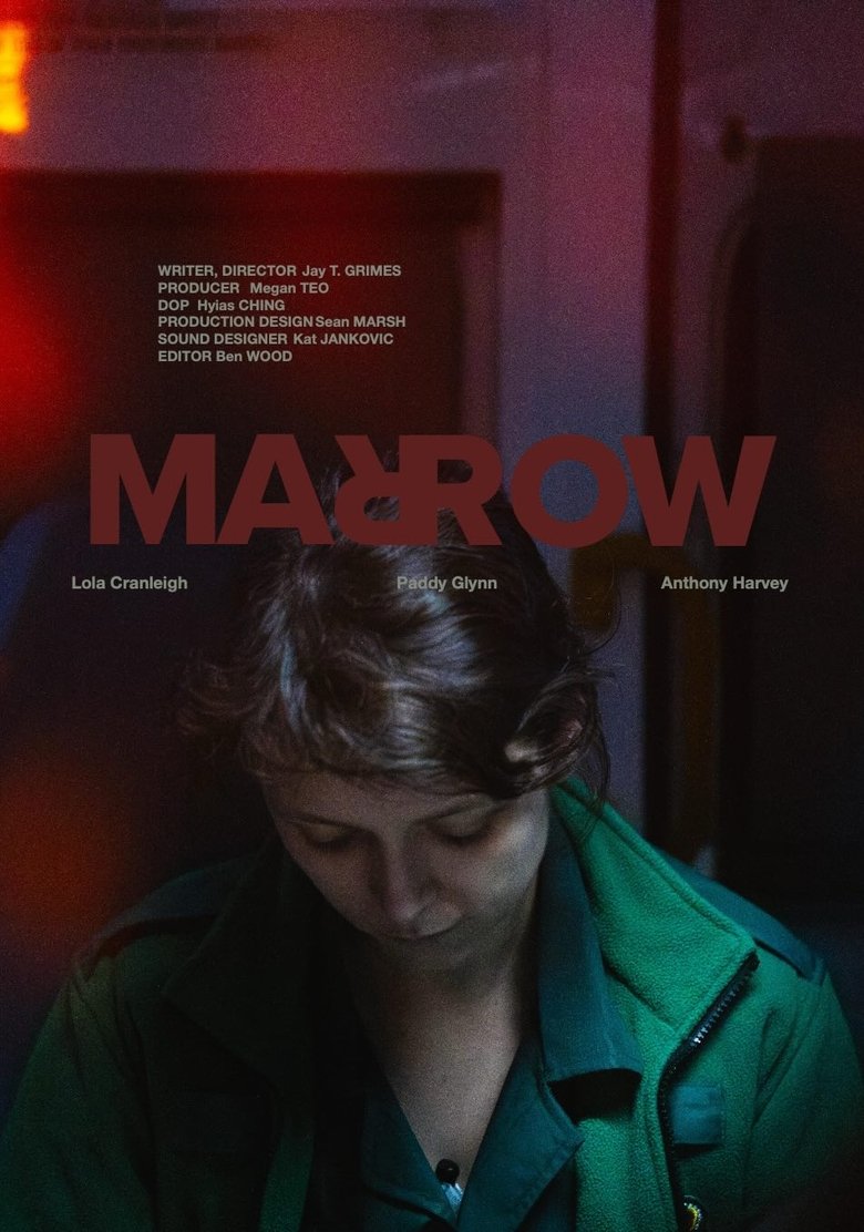 Poster of MARROW