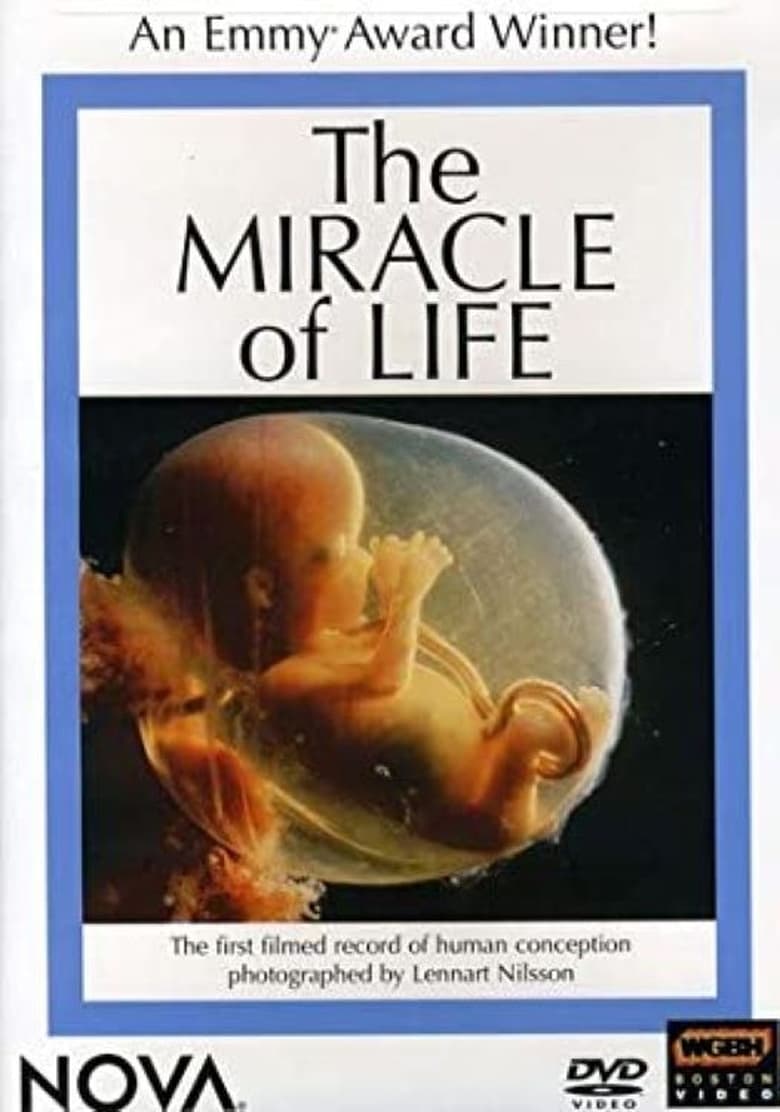 Poster of The Miracle of Life