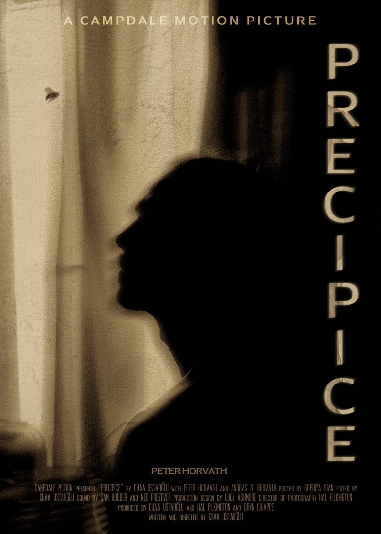 Poster of Precipice