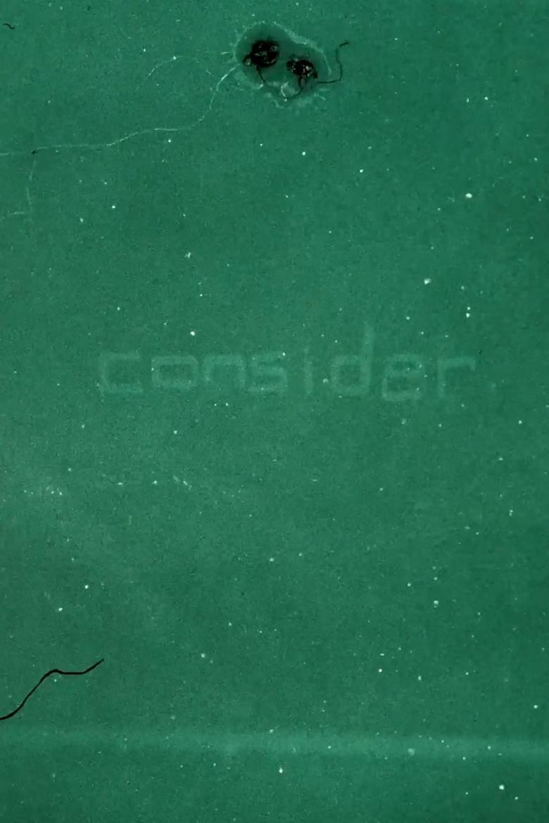 Poster of Consider