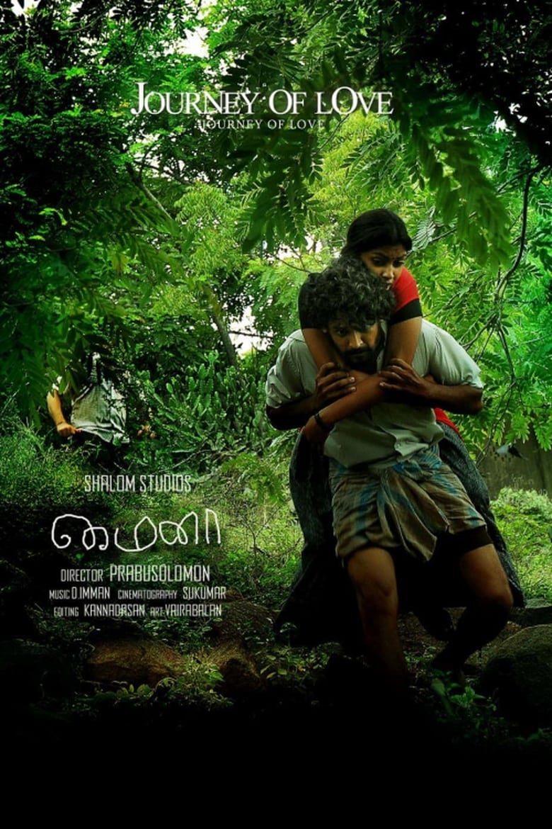 Poster of Mynaa