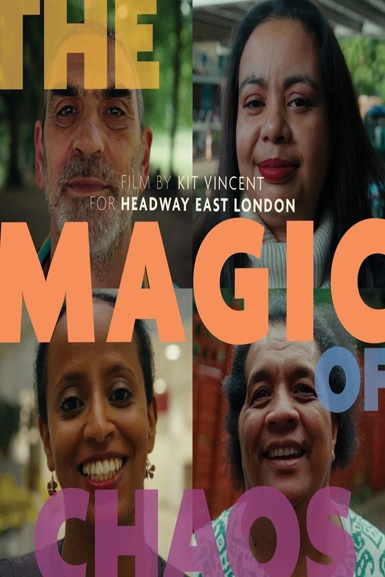Poster of The Magic of Chaos
