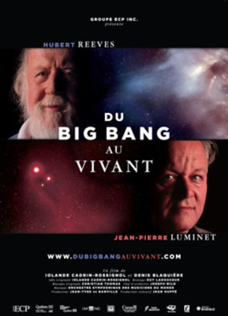 Poster of Du Big Bang au Vivant