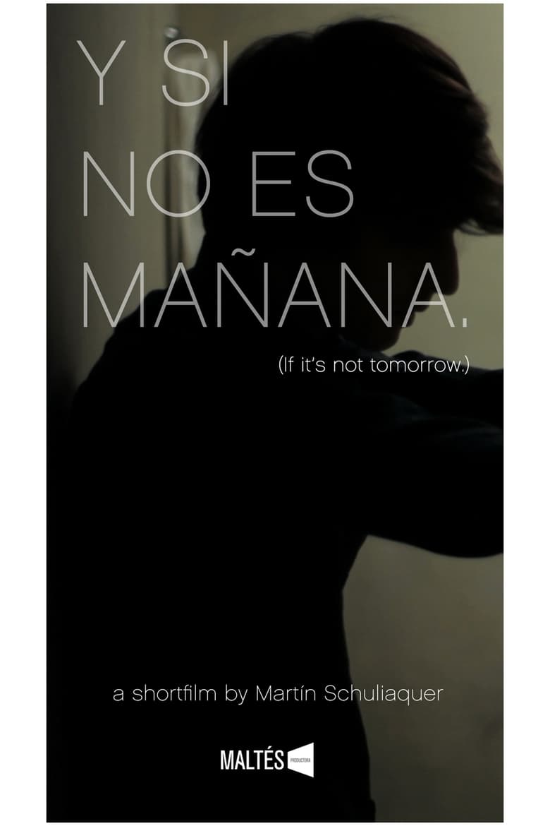 Poster of Y si no es mañana