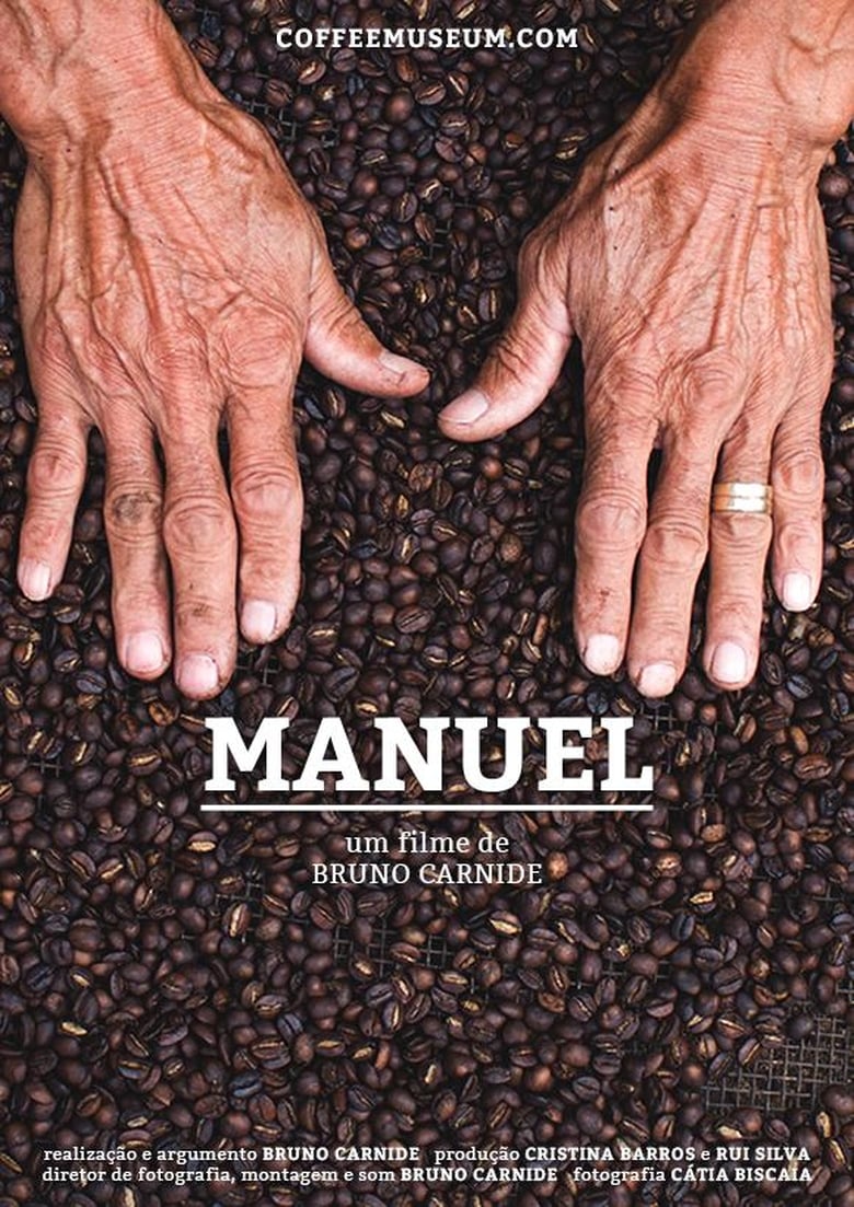 Poster of Manuel