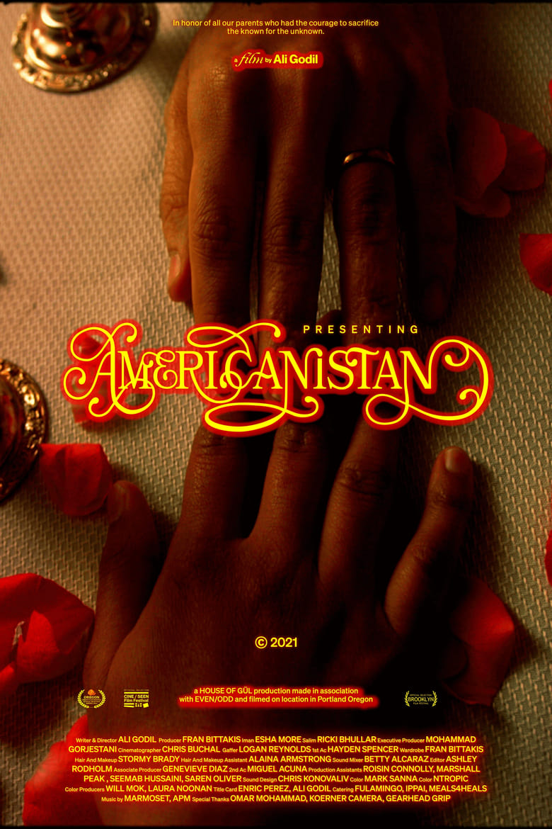 Poster of Americanistan